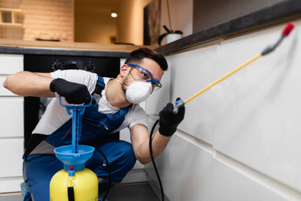 Best Best Pest Control Near Me  in Lakeland Highlands, FL