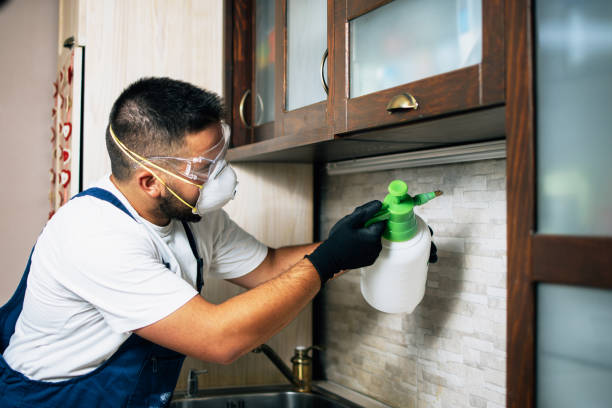 Best Residential Pest Control  in Lakeland Highlands, FL