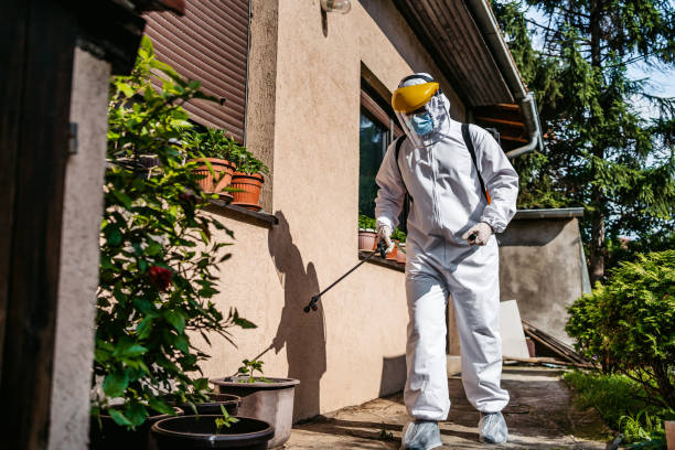 Best Pest Control Near Me  in Lakeland Highlands, FL