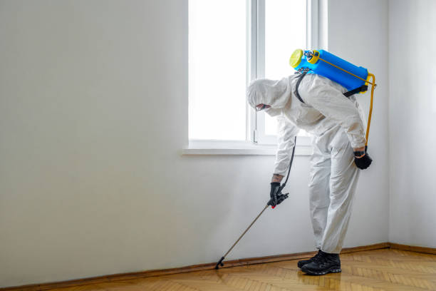Flea Control Services in Lakeland Highlands, FL