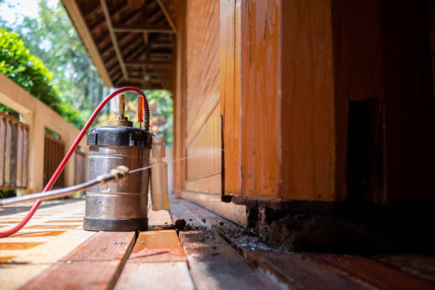 Best Best Pest Control Companies  in Lakeland Highlands, FL