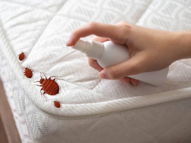 Best Bed Bug Extermination  in Lakeland Highlands, FL