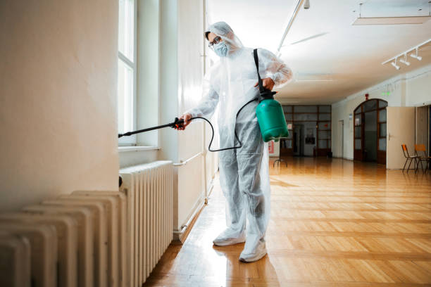Best Wasp Removal Services  in Lakeland Highlands, FL