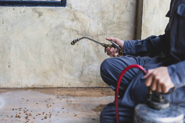 Best Pest Control Near Me  in Lakeland Highlands, FL